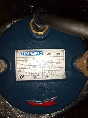 Lucky Pro Sewage Pumps