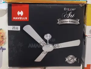 Ceiling Fan Enticer