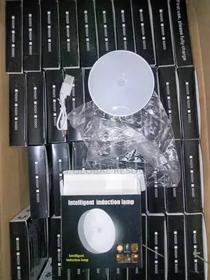 Rechargeable Boby Sensory Lamp