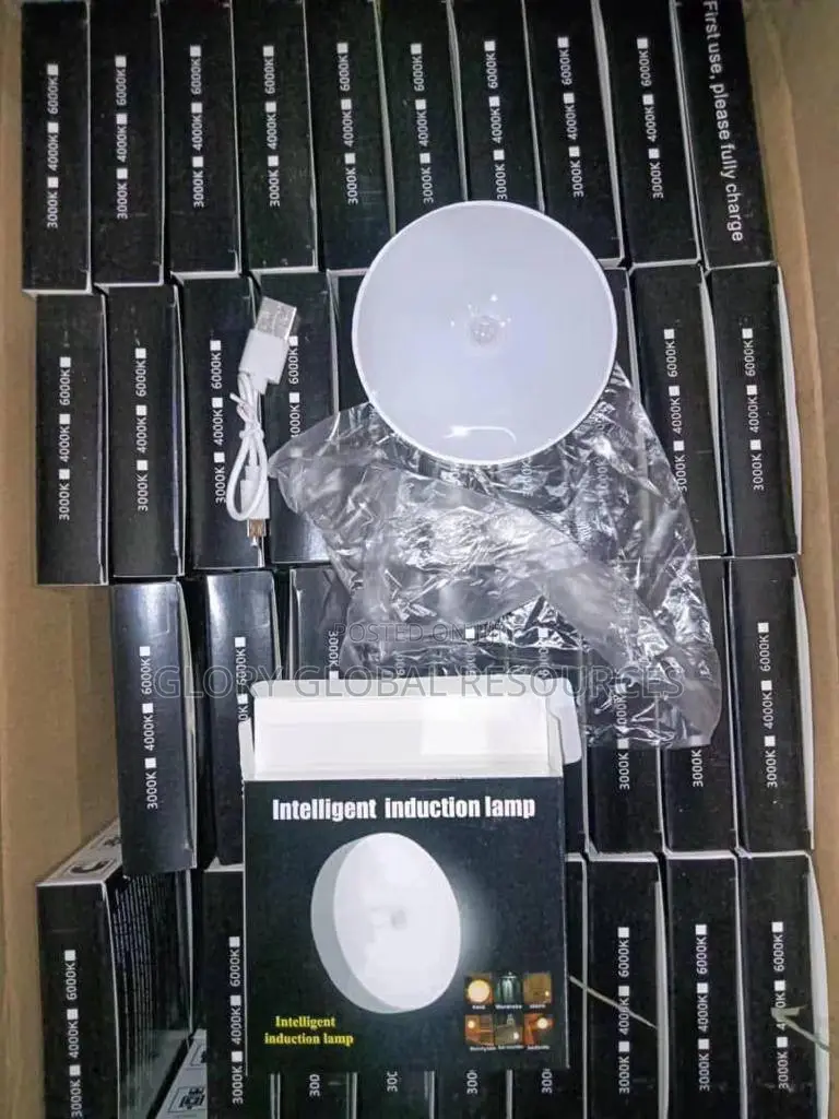 Rechargeable Boby Sensory Lamp