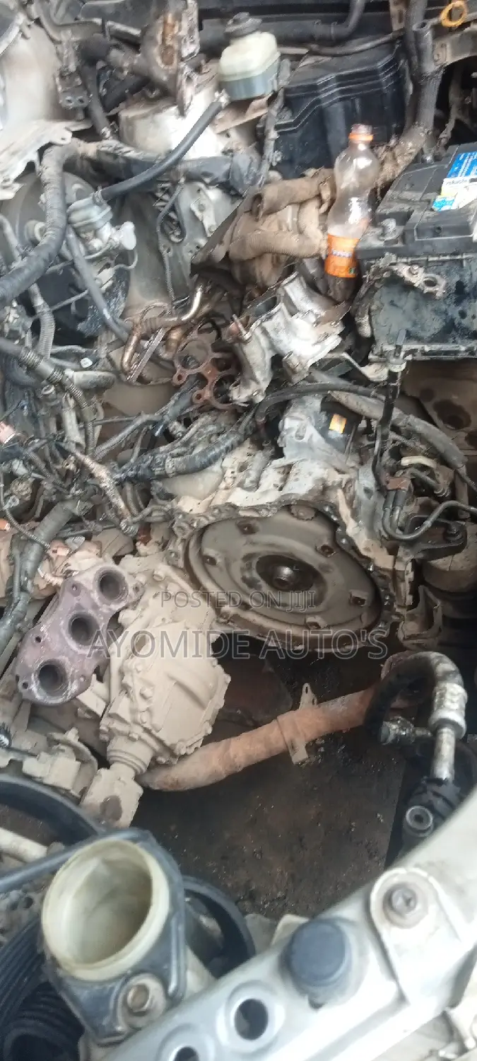 Best Mechanic Service With Diagonize Machine