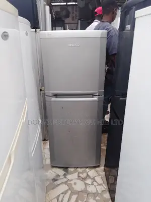 Double Door Fridge and Freezer