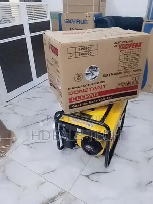 Affordable 4.5kva Constant Elepaq Generator.