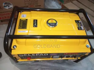 High Quality Elepaq 4.5kva Constant Generator (Sv6800)