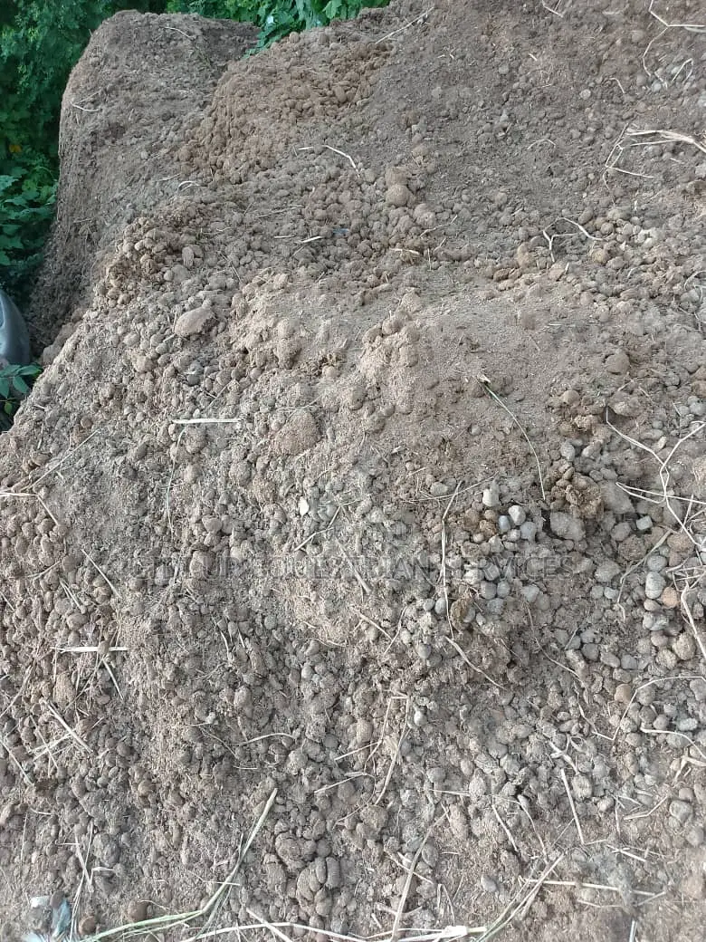 Horse Manure