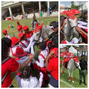 Horse Rental