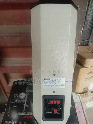 Original Column/Wall Mount Speaker 20w, Capital Product