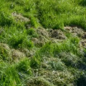 For Sale 3000 Square Meters of Fenced Bare Land