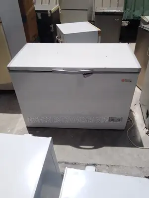 Deep Freezer for Frozen or Home Use