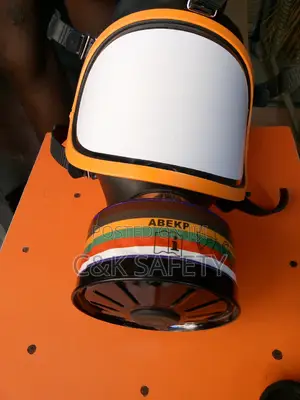 Gas Mask Respirator