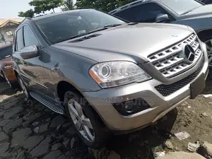Mercedes-Benz M Class ML 350 4Matic 2010 Silver