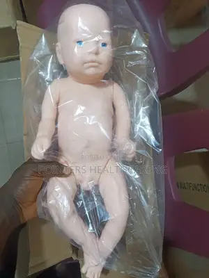 Baby With Umbilical Cord Model
