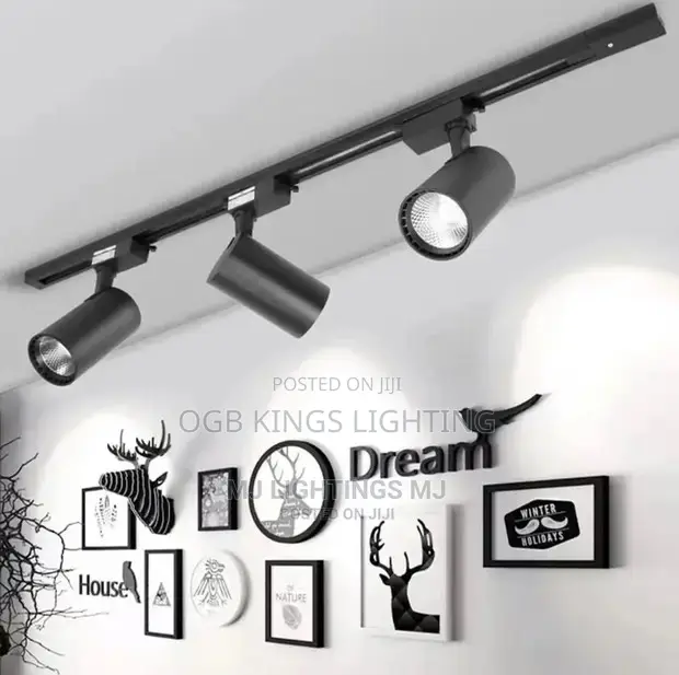 30watts Double Colors Track Light Led 3in1 Adjustable Light