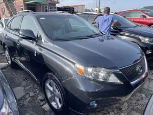 Lexus RX 2010 Gray