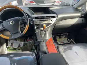 Lexus RX 2010 Gray