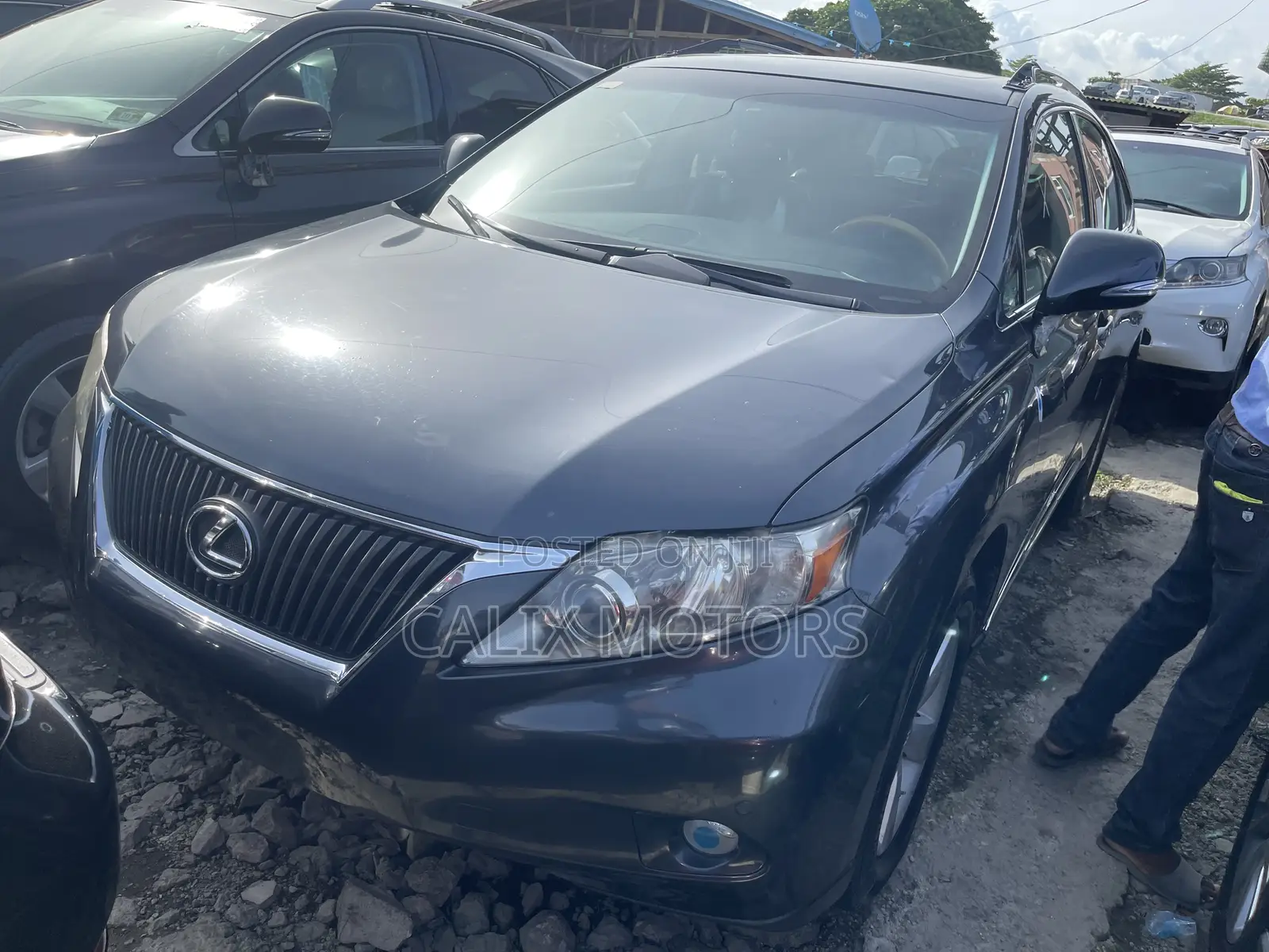Lexus RX 2010 Gray