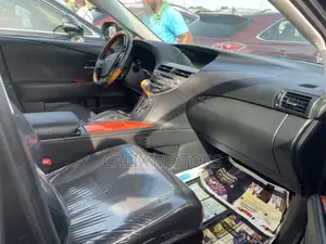 Lexus RX 2010 Gray