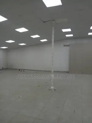Legrand Power Pole