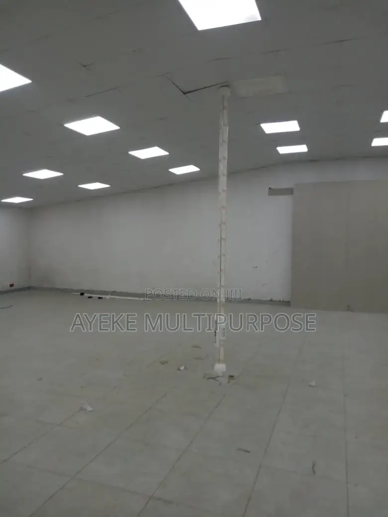 Legrand Power Pole