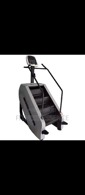 Commercial Step Climber