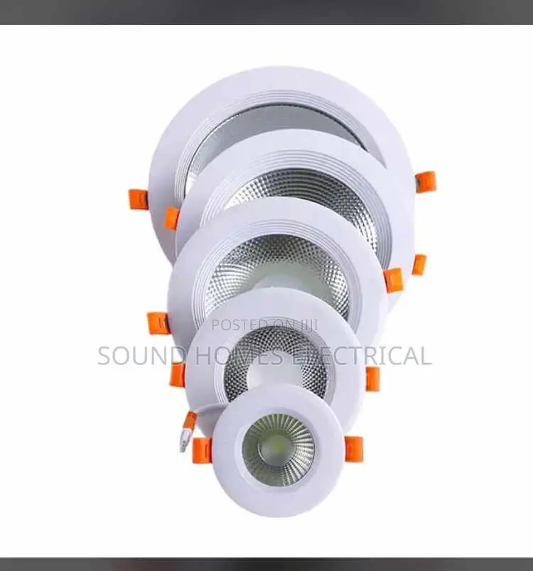 COB Down Light