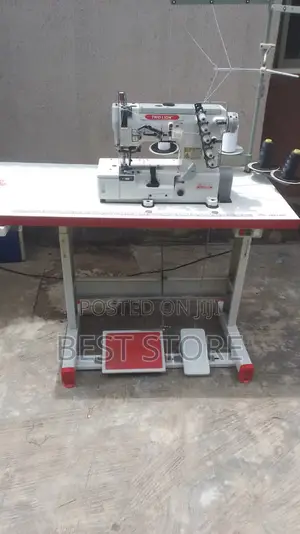 Photo - Two Lion Tapping Sewing Machine