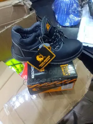 Safety Tiger Boot