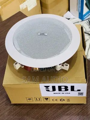 Original JBL Ceiling Speaker