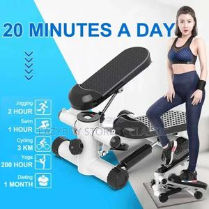 Mini Stepper Fitness and Exercise Machine