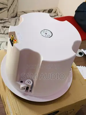 Ceiling Speaker Woofer