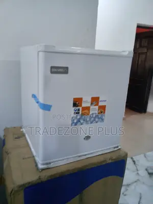 Effective 50ltr Skyrun Refrigerator