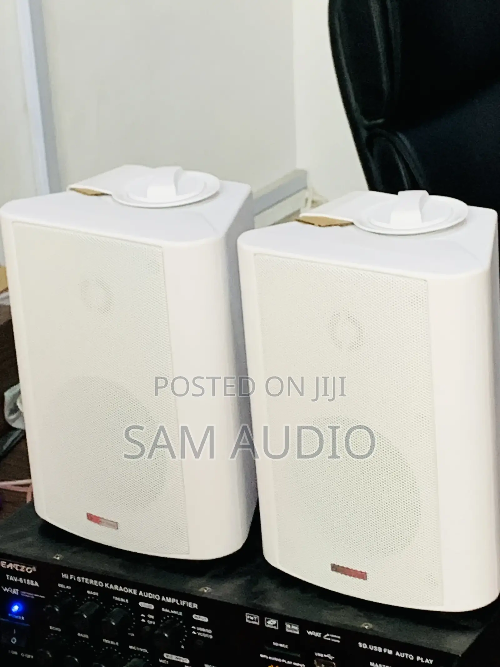 Outdoor Speaker With Amplifier