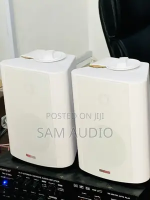 Outdoor Speaker With Amplifier