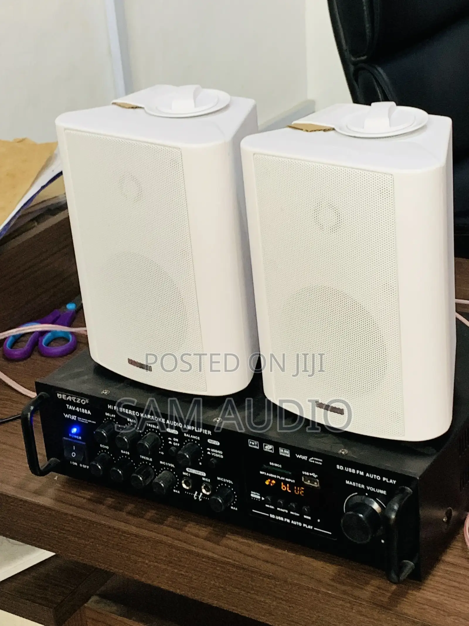 Outdoor Speaker With Amplifier