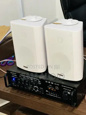 Outdoor Speaker With Amplifier