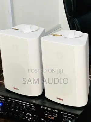 Outdoor Speaker With Amplifier