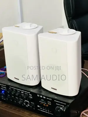 Outdoor Speaker With Amplifier