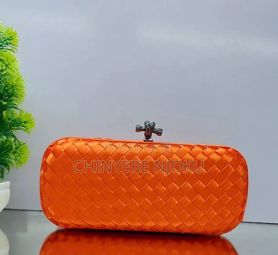 Classic Purse for Women