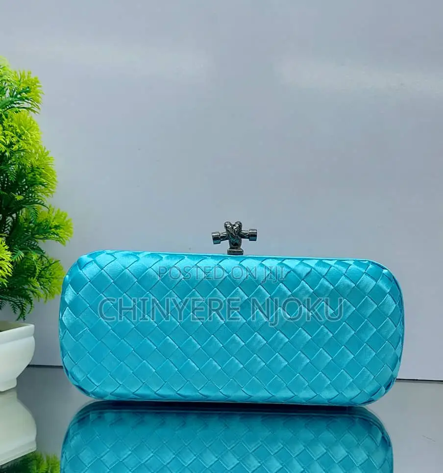 Classic Purse for Women