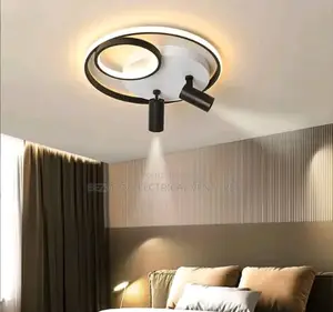 Unique Room Ceiling Light Available for Sale