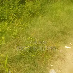 Photo - Joint Venture 9000 SQM at Lekki Phase1 Rite Side Ocean View