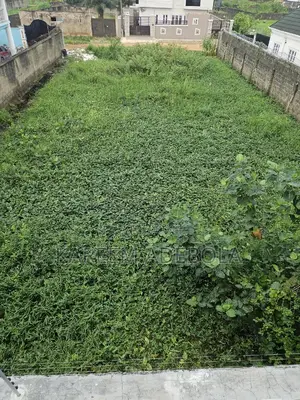 Residential Land at Nicon Town Estate Ikate Lekki