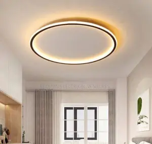 Unique Ceiling Light Available for Sale