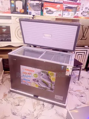 Standard New Snowsea 250 Liters Chest Freezer | BD-370