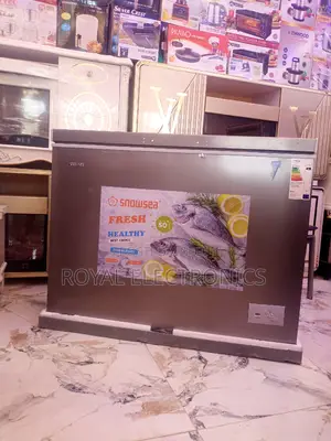 Top Class Snowsea 250 Liters Chest Freezer | BD-370