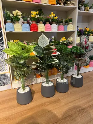 Medium Potted Plant (Grey)
