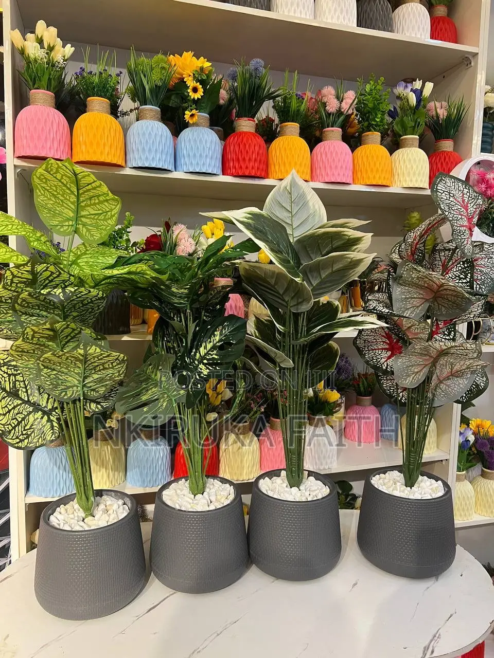 Medium Potted Plant (Grey)