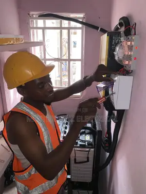 Professional Electrician