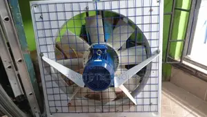 30" Wall Extractor Fan 380V