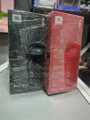 JBL Flip 6